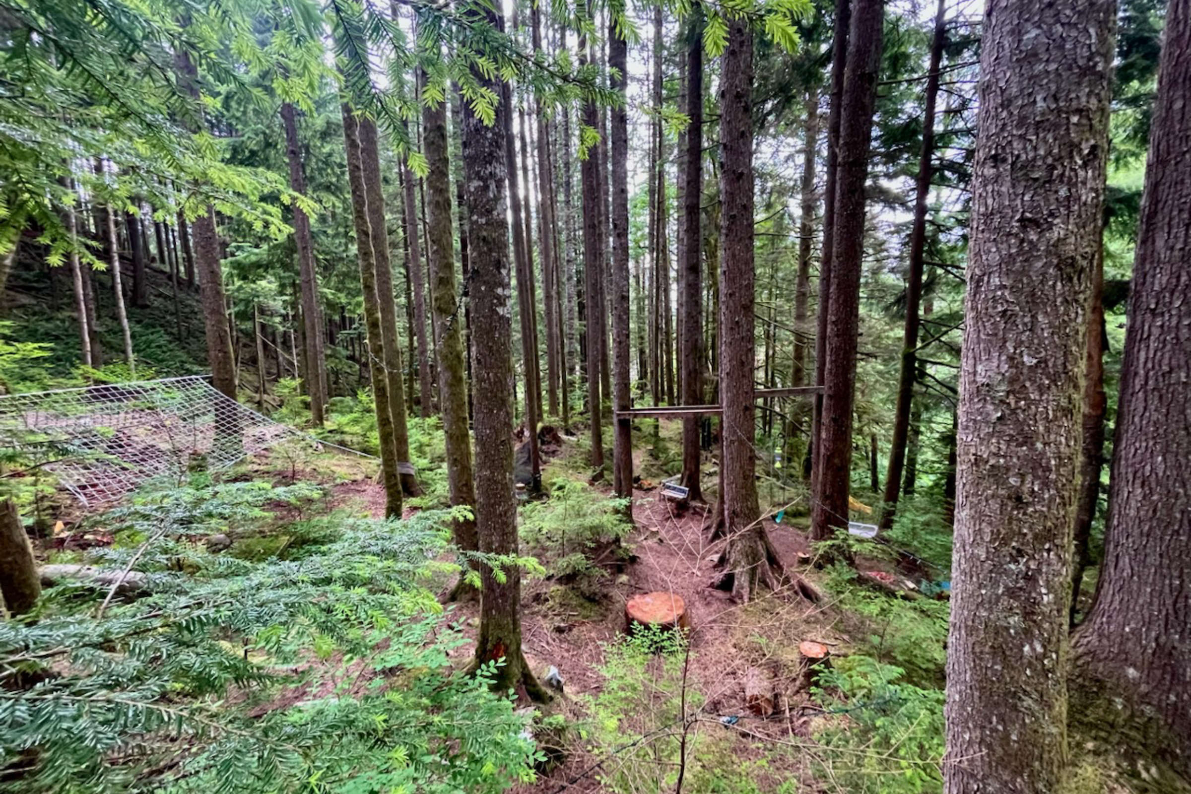 Roots Outdoor Education