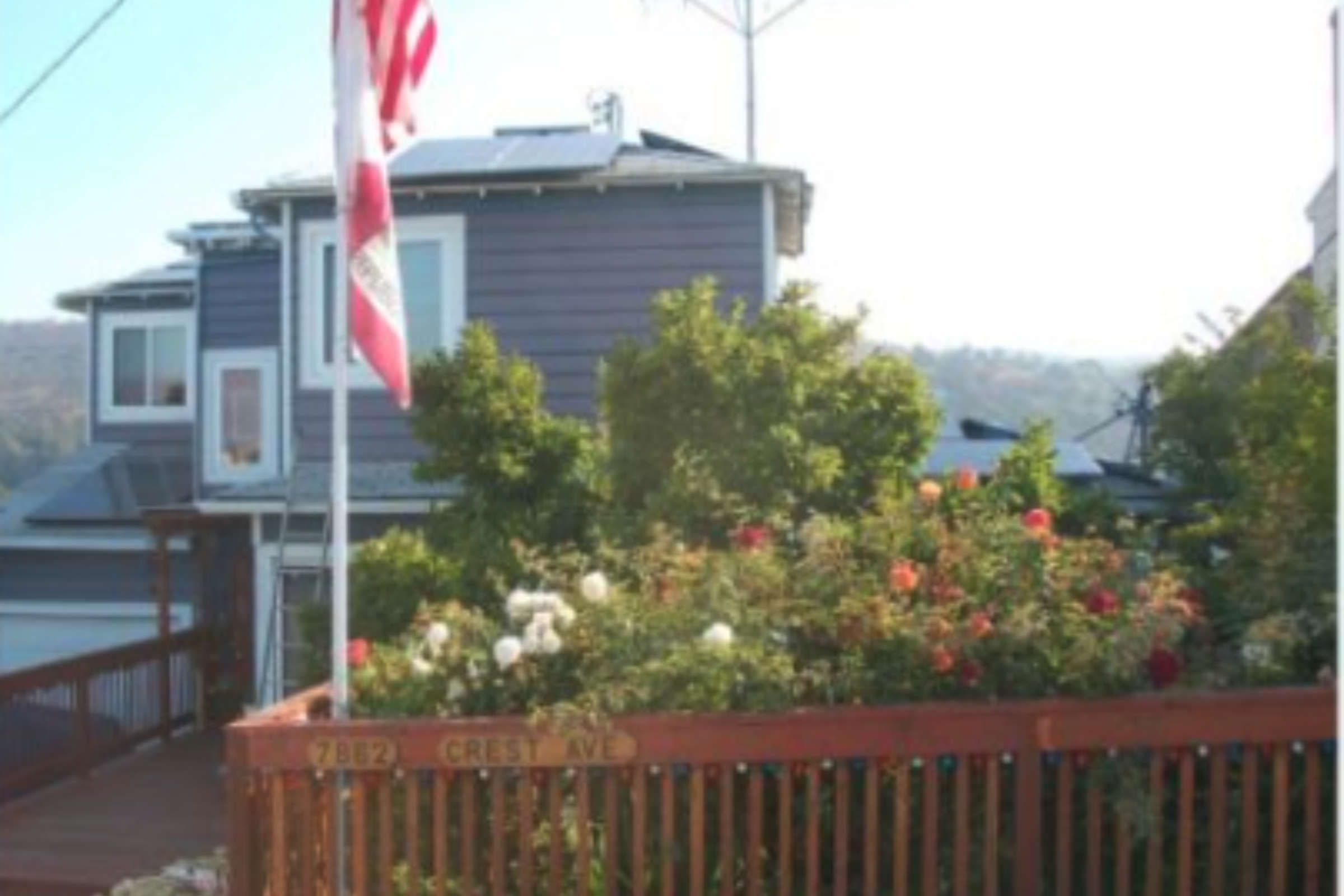 Cathy's Village