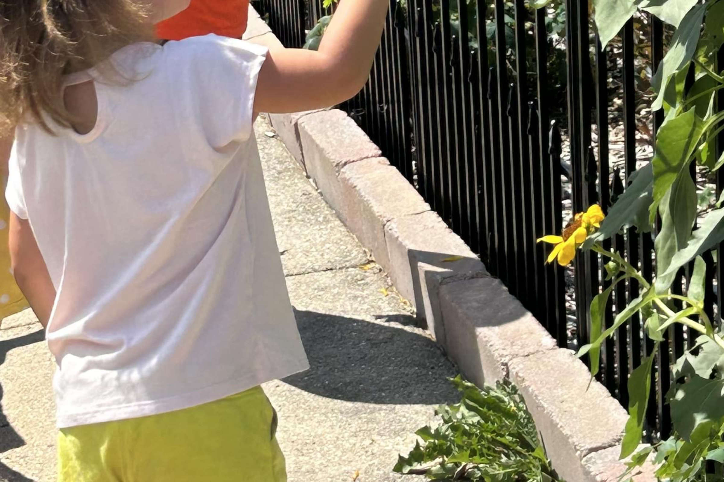 Kit's Creek Childcare