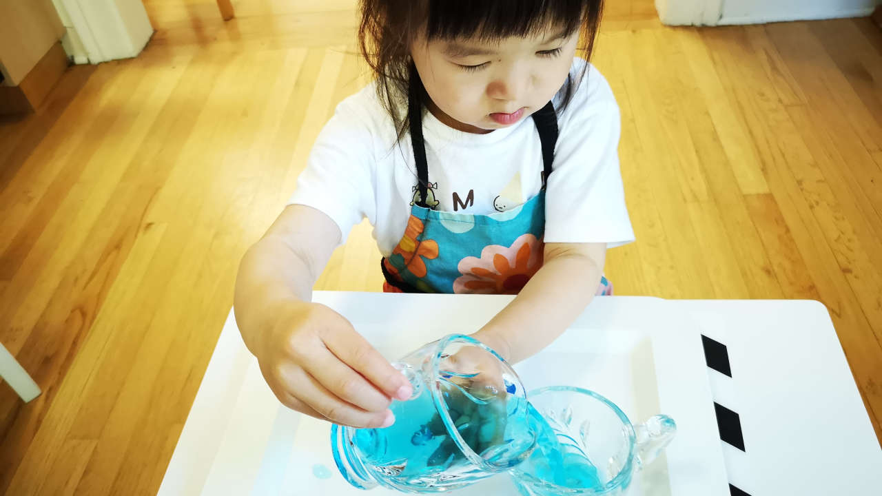 Chestnut Montessori School Bellevue