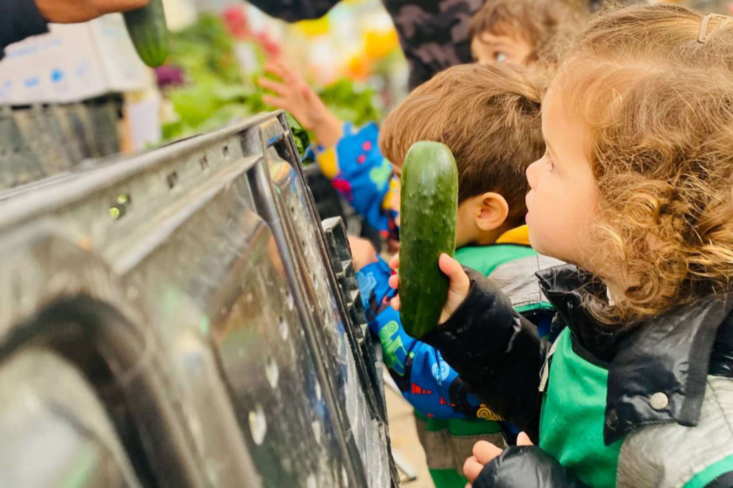 Organic Kids Child Care