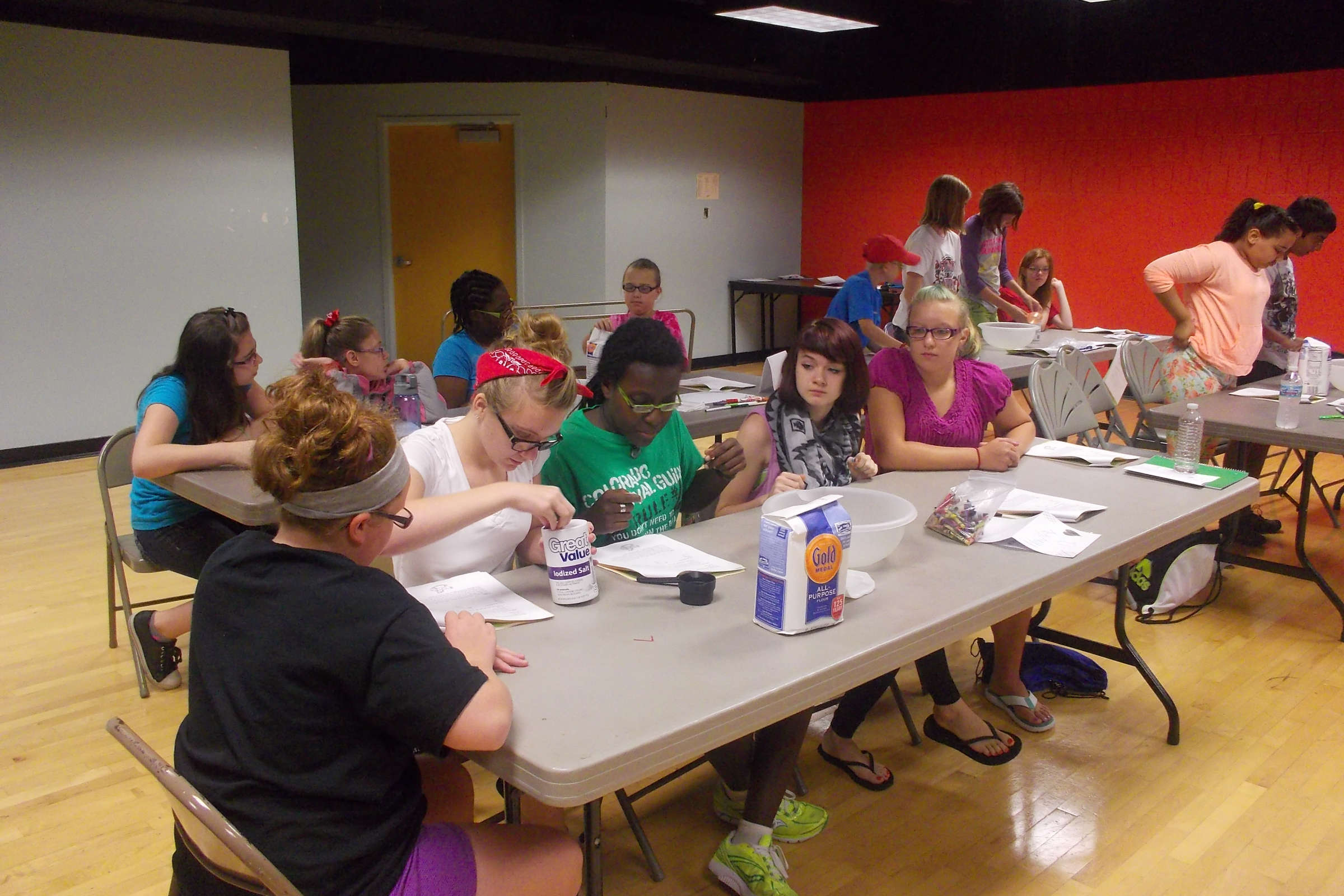YWCA of McLean County